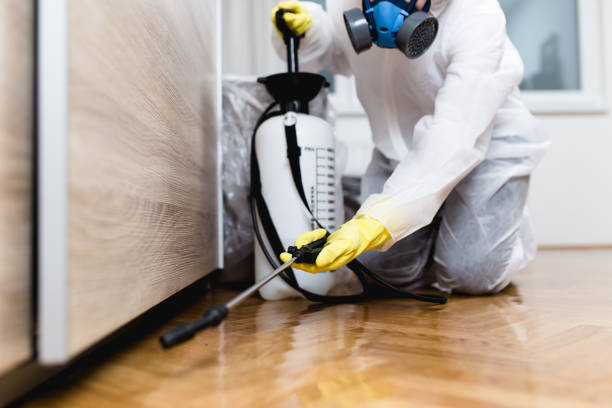 Best Wasp Removal Services  in Rouses Point, NY