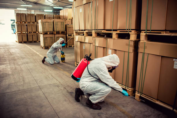 Best Pest Removal Services  in Rouses Point, NY