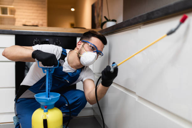 Best Pest Prevention Services  in Rouses Point, NY