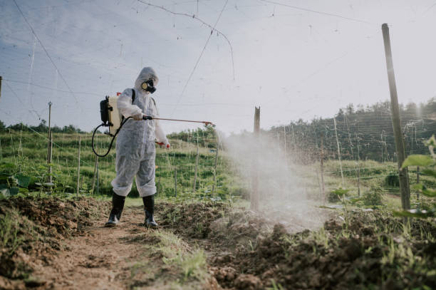 Best Pest Control Cost  in Rouses Point, NY