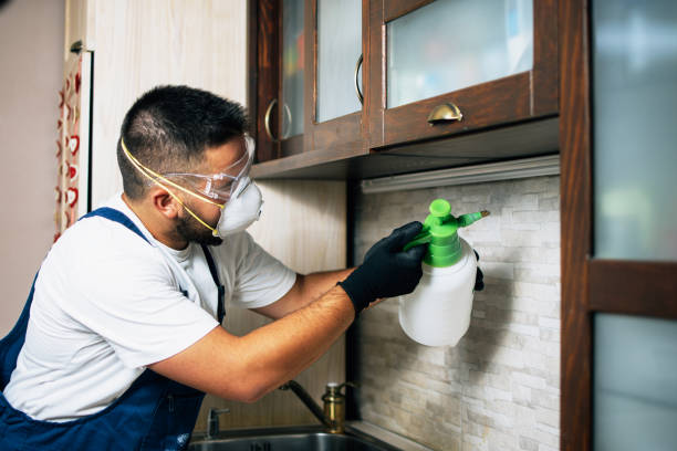 Best Wildlife Control Services  in Rouses Point, NY