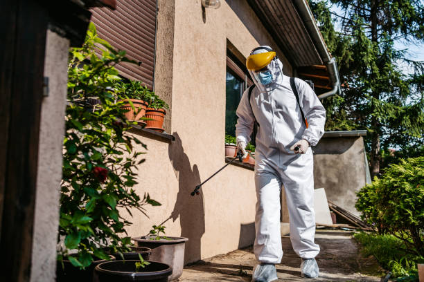 Best Affordable Pest Control Services  in Rouses Point, NY