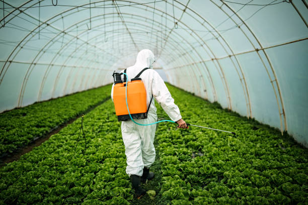 Best Pest Control Near Me  in Rouses Point, NY