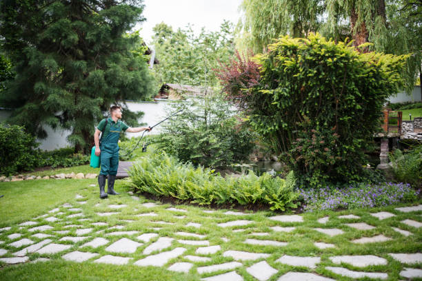 Best Ant Control Services  in Rouses Point, NY