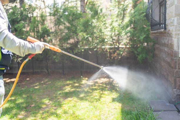 Best Residential Pest Control  in Rouses Point, NY