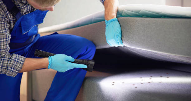 Best Rat Extermination Near Me  in Rouses Point, NY