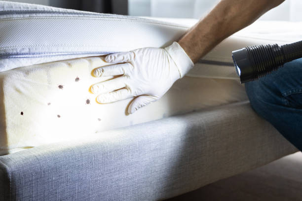 Rouses Point, NY Pest Control Company