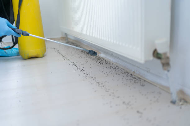 Best Bed Bug Extermination  in Rouses Point, NY