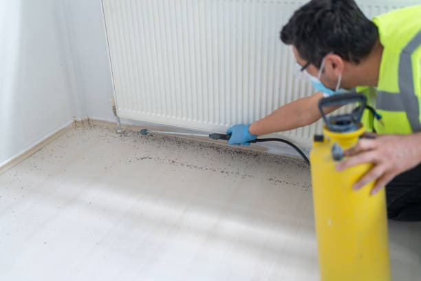 Best Pest Removal Services  in Rouses Point, NY