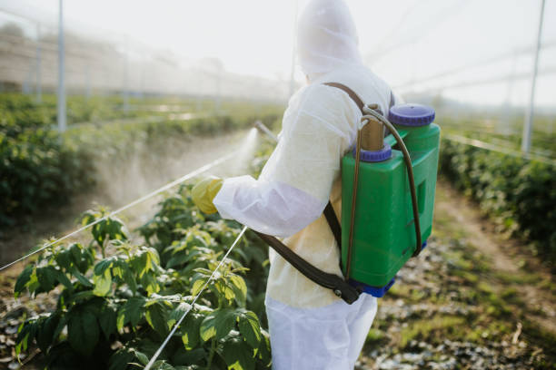 Best Pest Control for Restaurants  in Rouses Point, NY